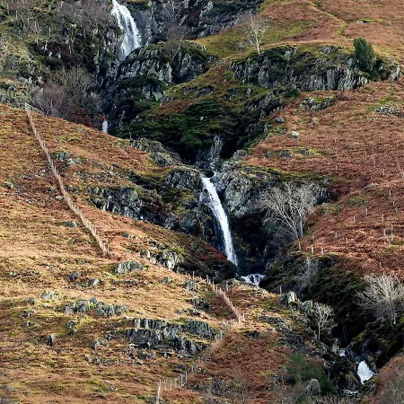 Catstycam *